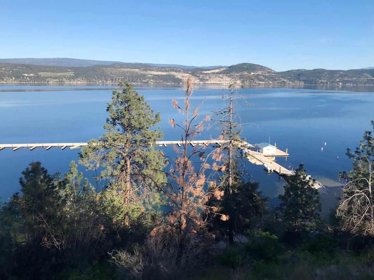 Cozystay Signature Lake Okanagan Resort Kelowna Zewnętrze zdjęcie